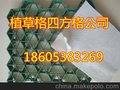 县 4公分植草格 四方格厂家