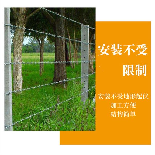 不銹鋼帶刺鐵絲網(wǎng) 圈地螺旋式刀片刺繩 刺鐵線圖片