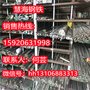 慧海H11310高温合金钢2025行情报价、H11310价格
