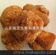 (zhun)I(y)a(chn)^