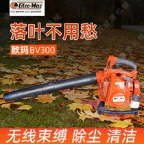 WBV300L(fng)C(j)ʽɭC(j)ﴵѩC(j)