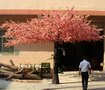 仿真桃花树大型仿真植物假樱花树
