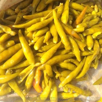 小菜頭的大世界 涪陵榨菜當(dāng)前240億元估值偏高圖片
