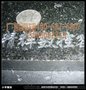 精辉重型石材墓碑雕刻机 石刻机 高速雕刻机 文字图案花纹浮雕