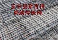 河北安平斯百得丝网供应钢板网 钢格栅 楼梯格栅