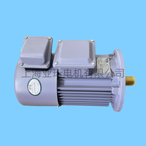 YP-50-0.18-4-EULA-EULA  MOTOR׃l{(dio)늙C2-200HZ