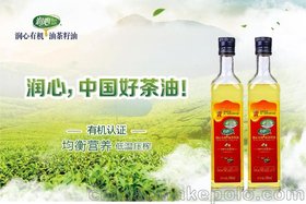 润心有机山茶油500ml 物理压榨 茶籽油 高品质食用油