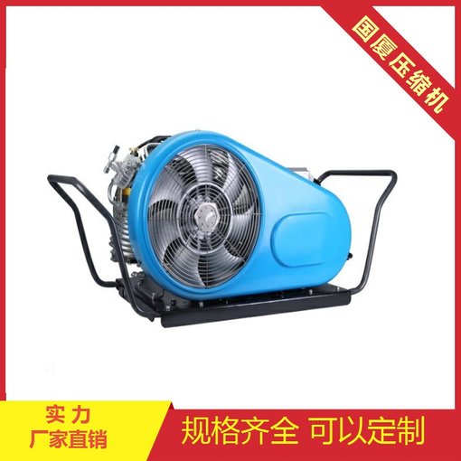 供應(yīng)30Bar氣瓶充氣高壓空壓機(jī)圖片