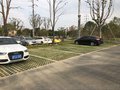 泰州植草地坪 植草地坪 江苏现浇混凝土施工