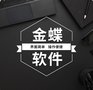 武汉市东西湖区-金蝶精斗云-采购管理车间管理出纳记账软件