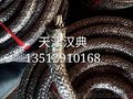 天津汉典20mm石墨缆接地线