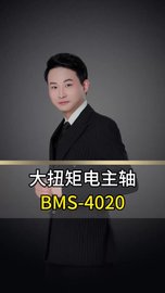 NSK大扭矩电主轴BMS-4020