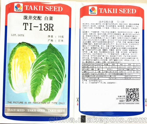 提供瀧井交配中小型白菜種子TI－13R 春秋播 口感 黃心抗根腫病圖片