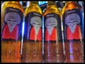 捷克皇家印度淡色拉格啤酒 IPA  Lager 批发及零售