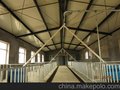 供河南三科猪场自动化供料设系统厂家直销