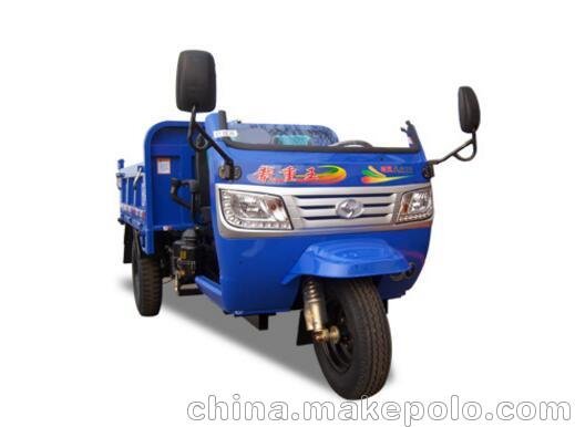 風(fēng)云（風(fēng)駿）Ⅲ號雙座循蒸168斷氣剎自卸車型 三輪汽車包郵圖片