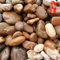 广东杂色鹅卵石 建筑鹅卵石厂家 白色鹅卵石批发