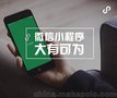 重庆艾美生活各种软件开发APP开发微信小程序开发
